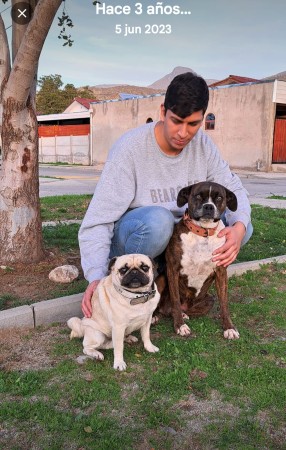 Imagen 2