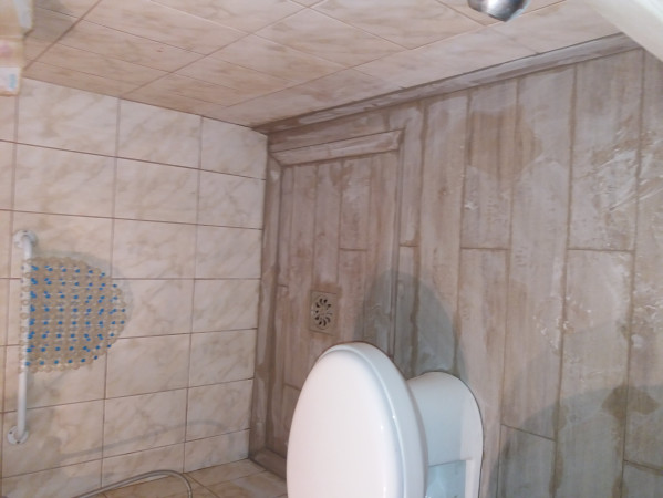 Imagen 6 de servicio