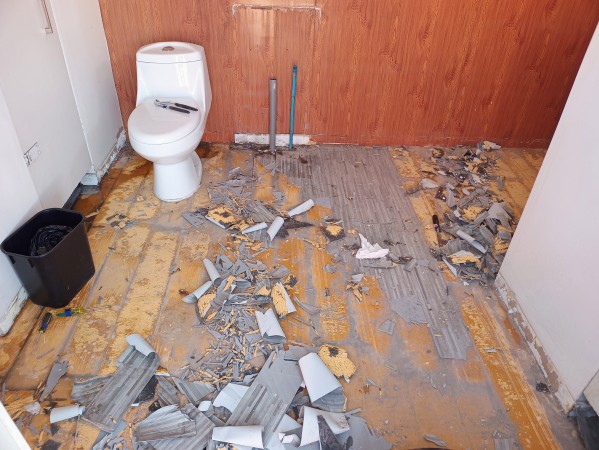 Imagen 5 de servicio