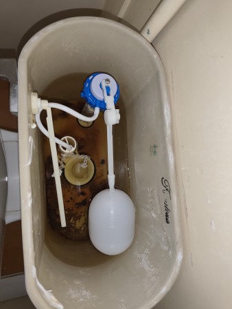 Imagen 11 de servicio