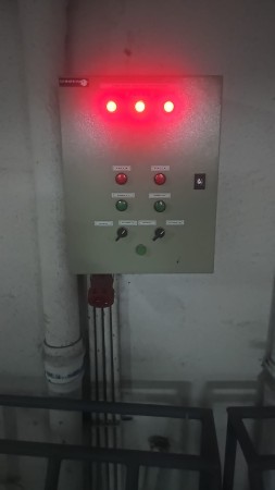 Imagen 5 de servicio