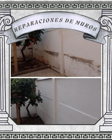Imagen 9 de servicio