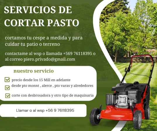 Imagen 0