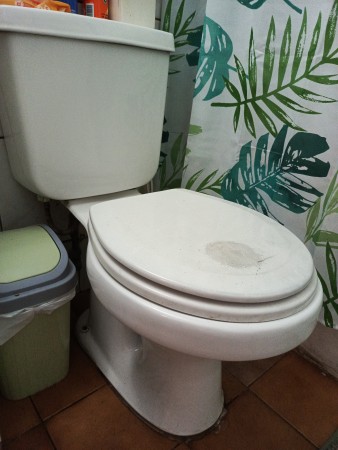Imagen principal del servicio
