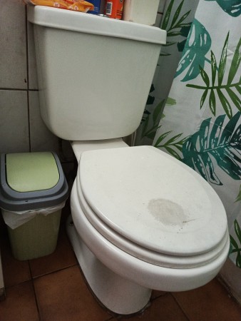 Imagen principal del servicio