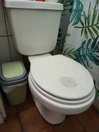 Imagen principal del servicio