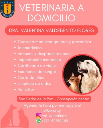 Imagen 4 de servicio