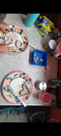 Imagen 7 de servicio
