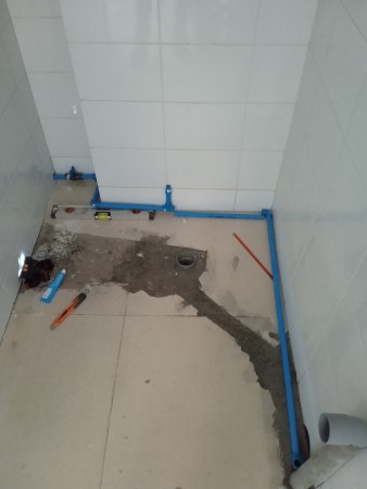 Imagen 6 de servicio