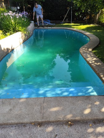 Imagen 4 de servicio