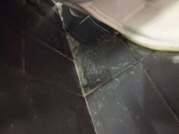 Imagen 3 de servicio