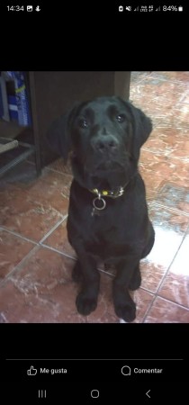 Imagen 2