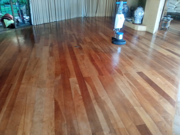 Imagen 12 de servicio