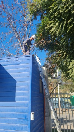 Imagen 5 de servicio