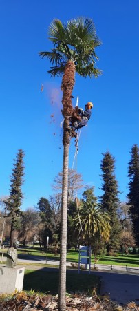 Imagen 2