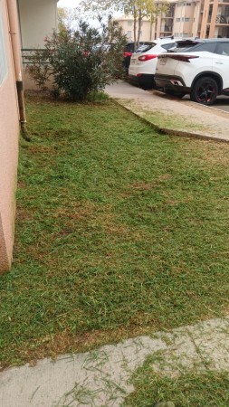 Imagen 8 de servicio