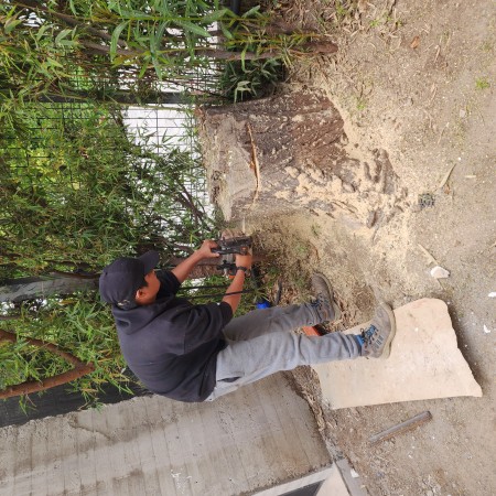 Imagen 6 de servicio
