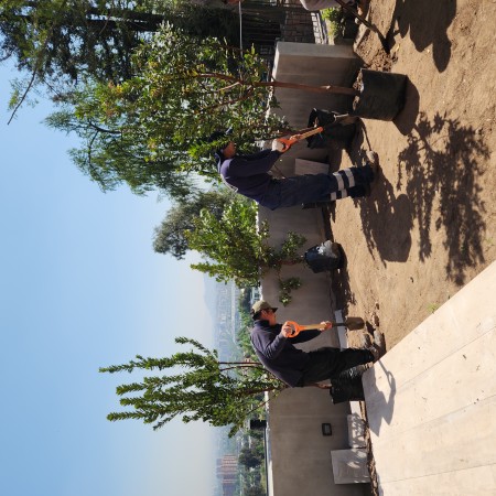 Imagen 7 de servicio