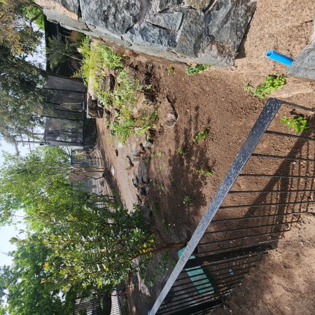 Imagen 10 de servicio