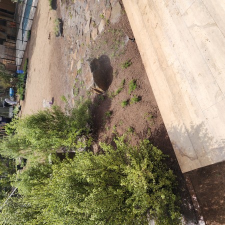 Imagen 8 de servicio