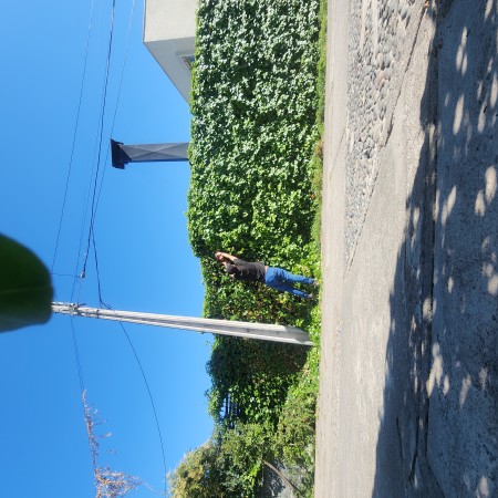 Imagen 13 de servicio
