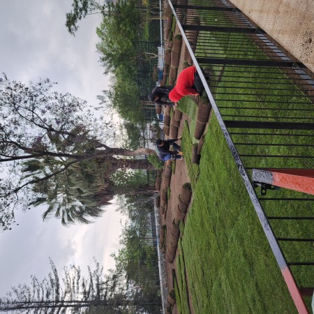 Imagen 15 de servicio