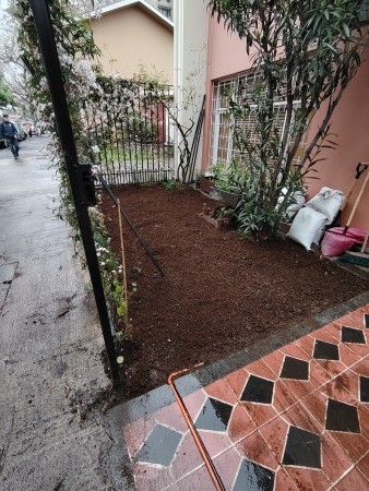 Imagen 4 de servicio
