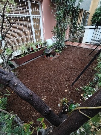 Imagen 5 de servicio