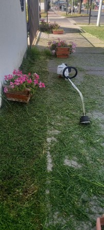 Imagen 11 de servicio