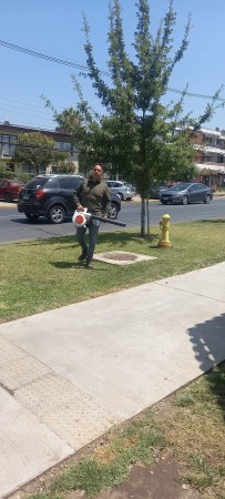 Imagen 10 de servicio