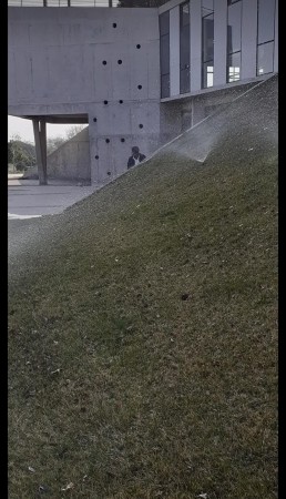 Imagen 17 de servicio