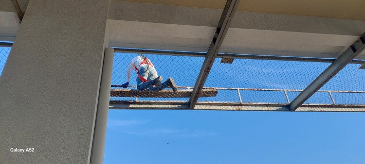 Imagen 18 de servicio