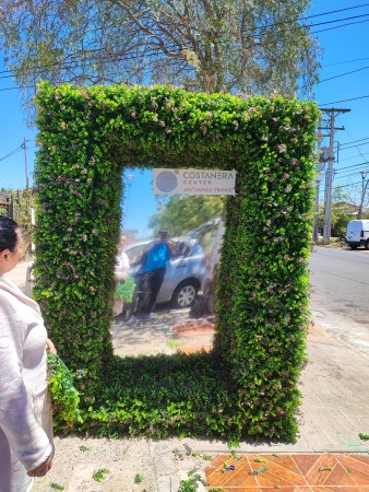 Imagen 16 de servicio