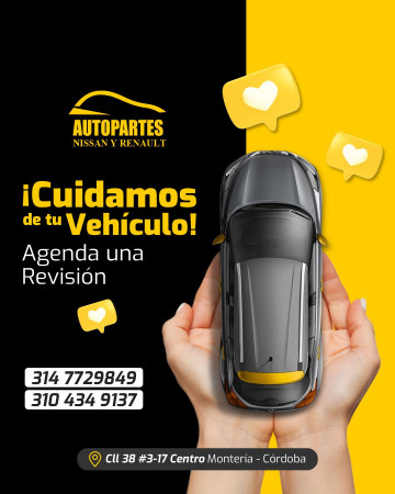 Imagen 9 de servicio