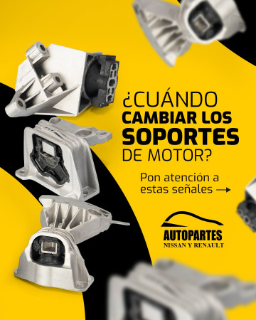 Imagen 10 de servicio