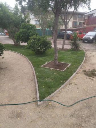 Imagen 31 de servicio