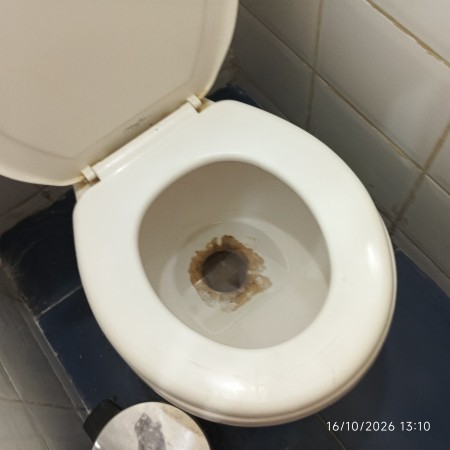 Imagen 15 de servicio