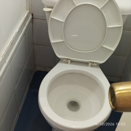 Imagen 16 de servicio