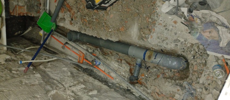 Imagen 41 de servicio