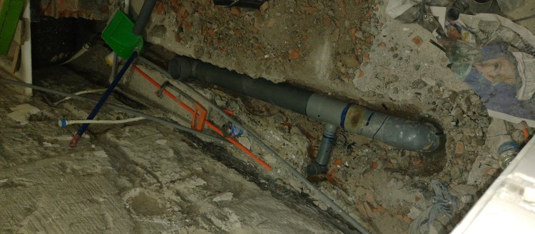 Imagen 44 de servicio