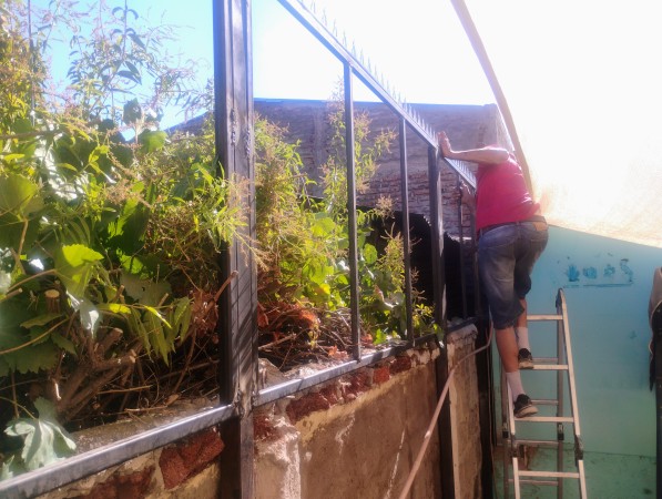 Imagen 64 de servicio