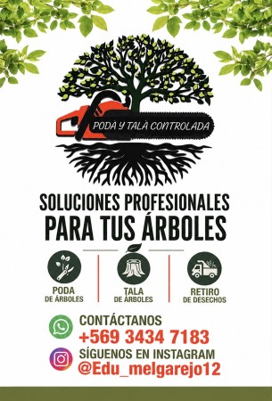 Imagen 0