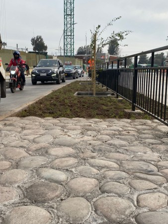 Imagen 6 de servicio