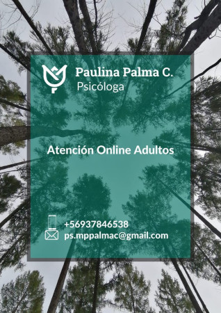 Imagen 2