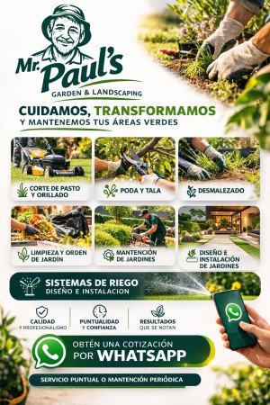 Imagen 27 de servicio