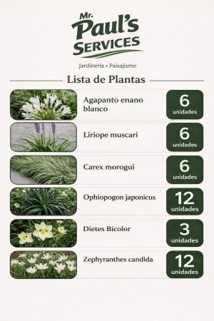 Imagen 29 de servicio