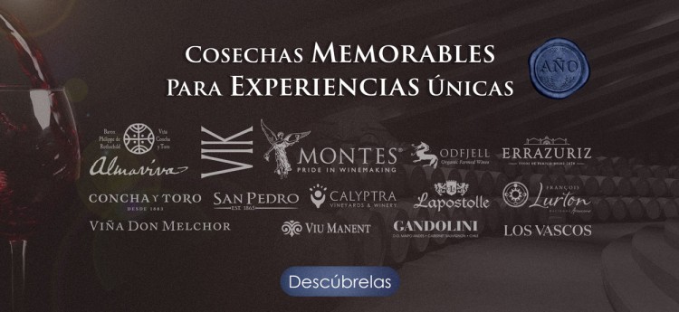 Imagen 8 de servicio
