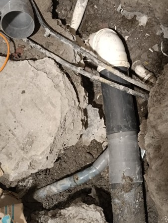 Imagen 83 de servicio