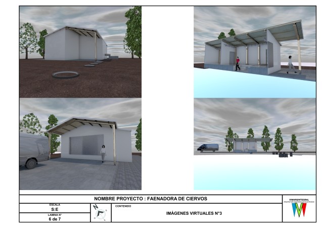 Imagen 5 de servicio