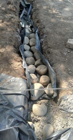 Imagen 5 de servicio